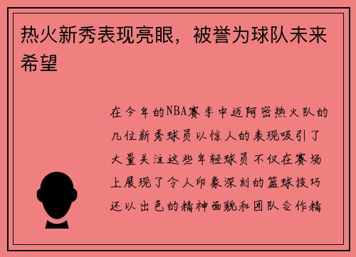 热火新秀表现亮眼，被誉为球队未来希望